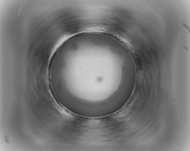 X0000094211470200710261201