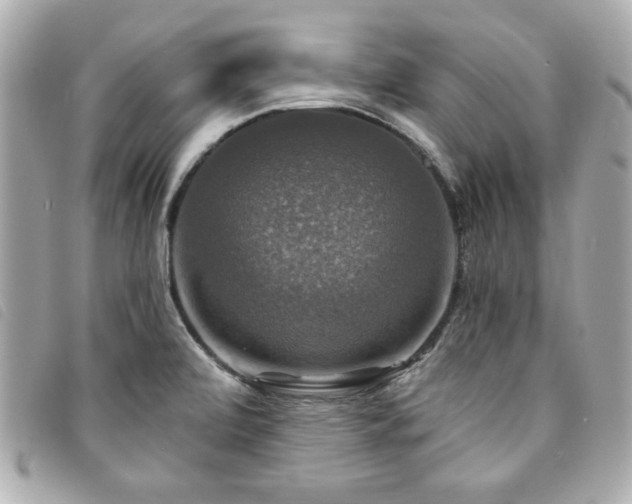 X0000094211472200710261201