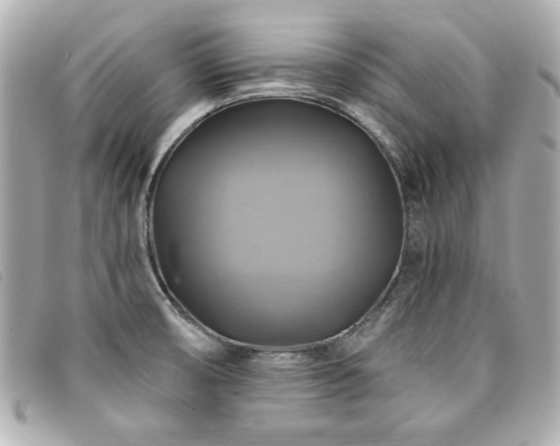 X0000094211474200710261201