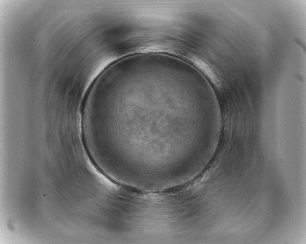 X0000094211476200710261201