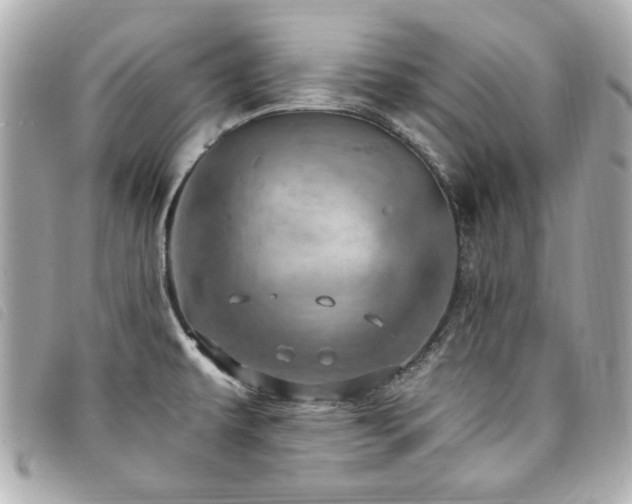 X0000094211479200710261201