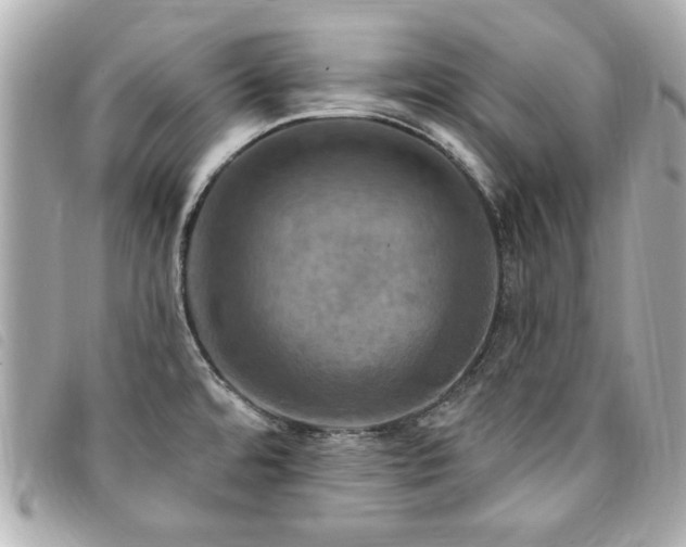 X0000094211480200710261201