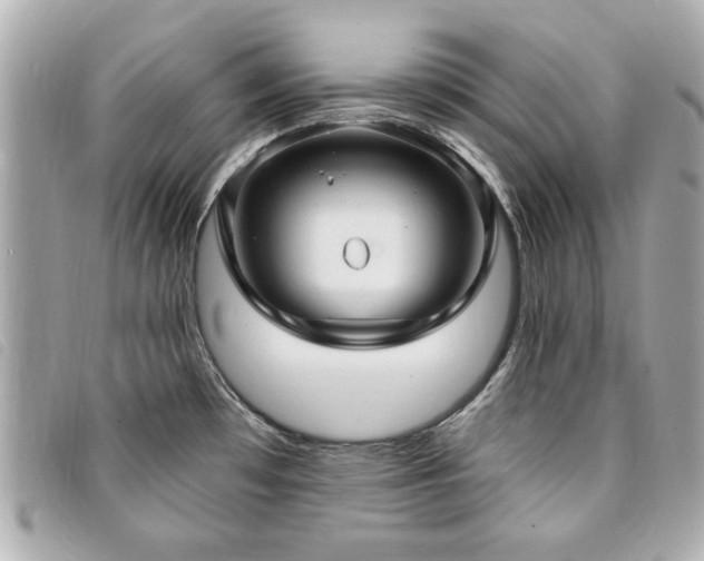 X0000094211481200710261201