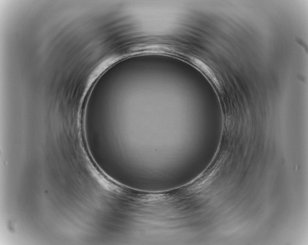 X0000094211482200710261201