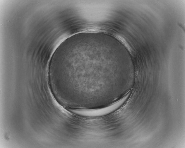 X0000094211483200710261201