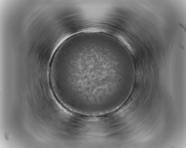 X0000094211484200710261201