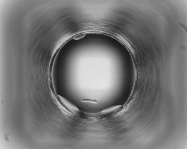 X0000094211485200710261201