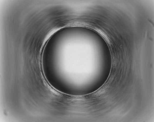 X0000094211486200710261201