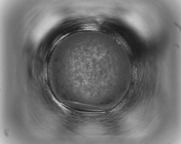 X0000094211487200710261201