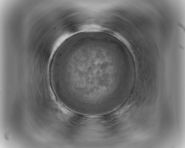 X0000094211488200710261201