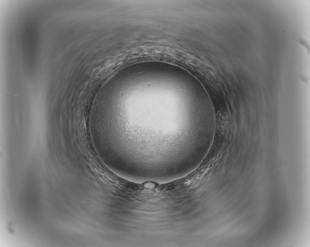 X0000094211489200710261200
