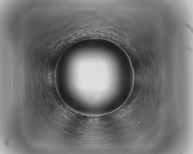 X0000094211490200710261200