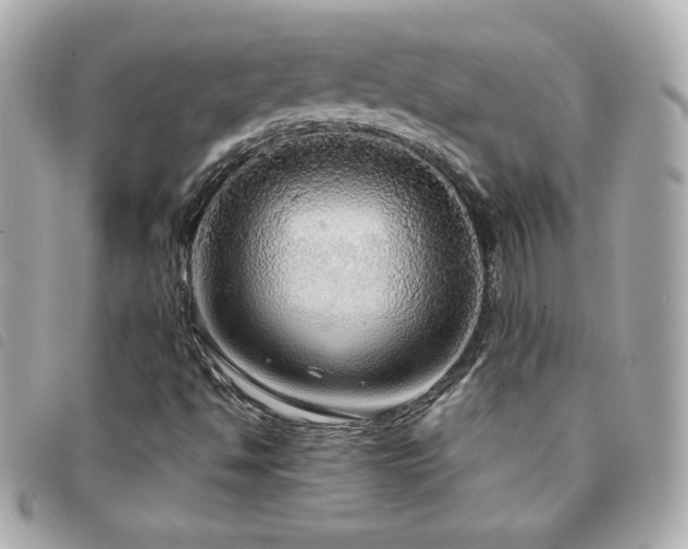 X0000094211494200710261200