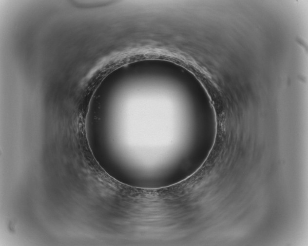 X0000094211495200710261200