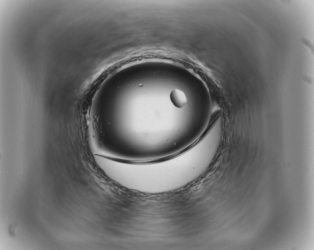 X0000094211496200710261200