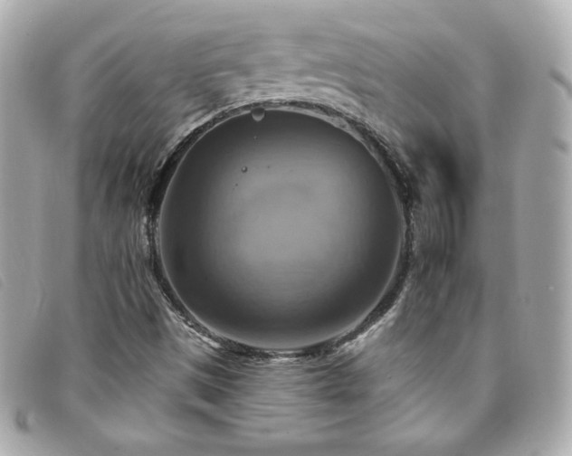 X0000094211497200710261200