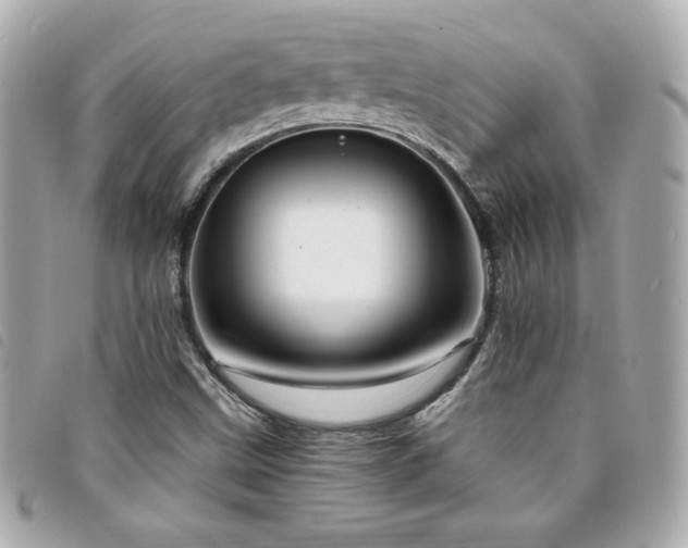 X0000094211499200710261200