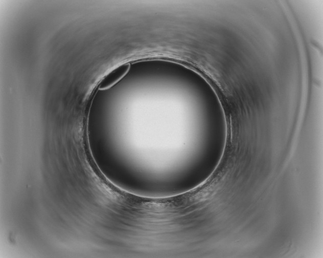 X0000094211500200710261200