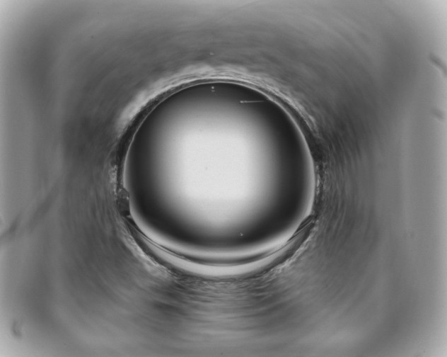 X0000094211503200710261200