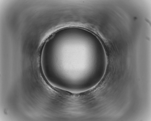 X0000094211504200710261200