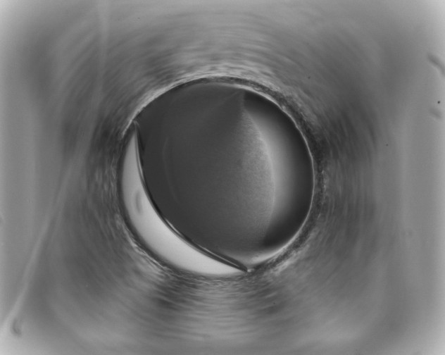 X0000094211505200710261200