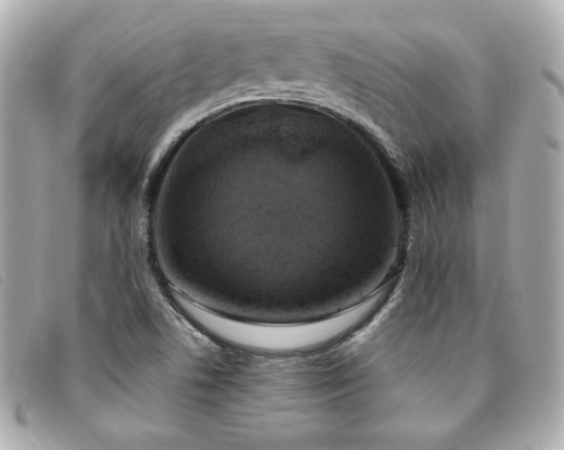 X0000094211506200710261200