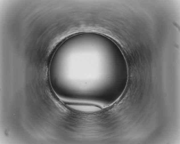 X0000094211507200710261200