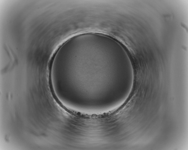 X0000094211508200710261200