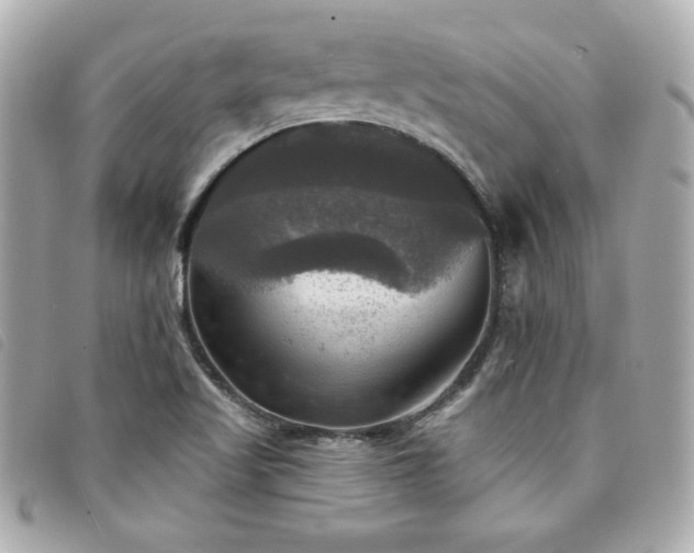 X0000094211509200710261200