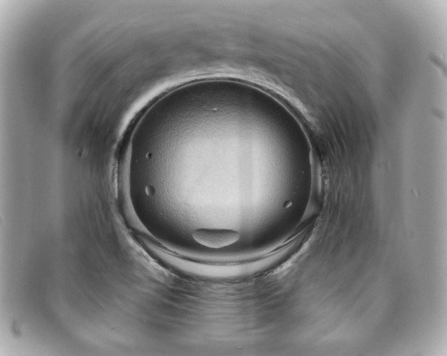 X0000094211510200710261200