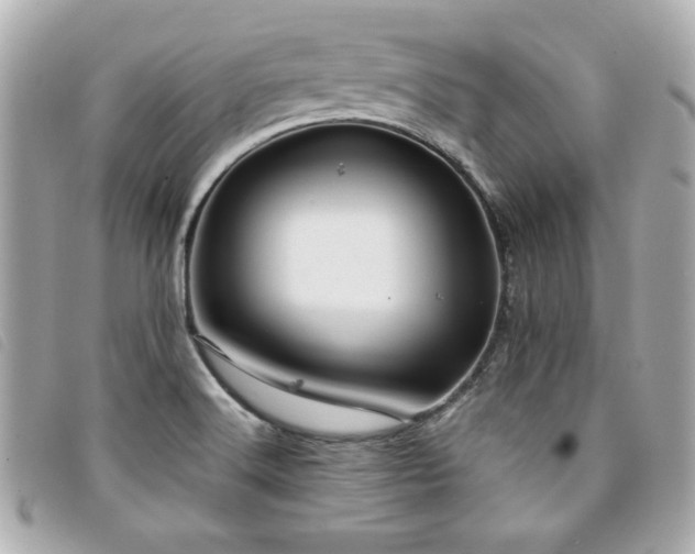 X0000094211516200710261200
