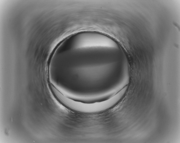 X0000094211519200710261200