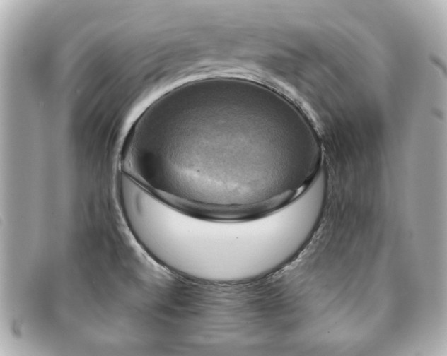 X0000094211520200710261201