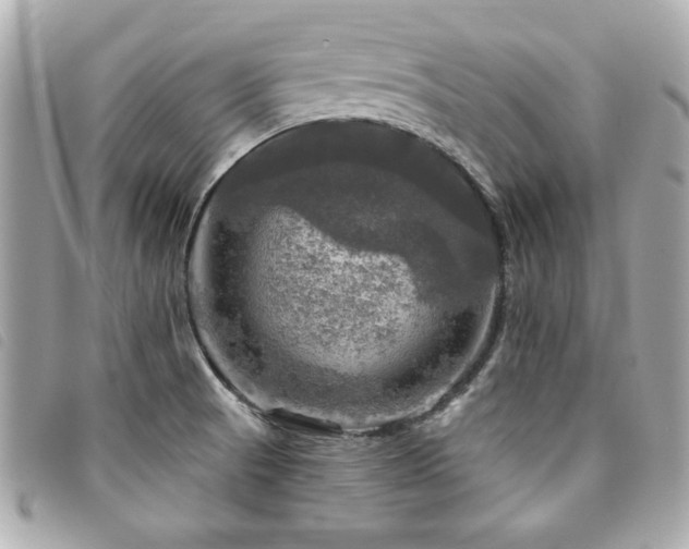 X0000094211521200710261201