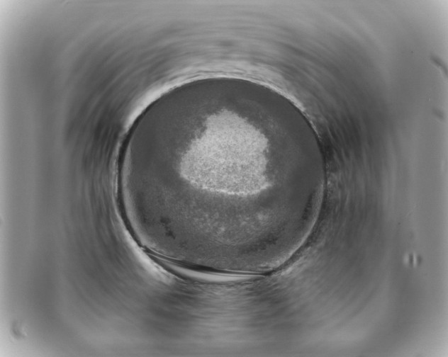 X0000094211523200710261201
