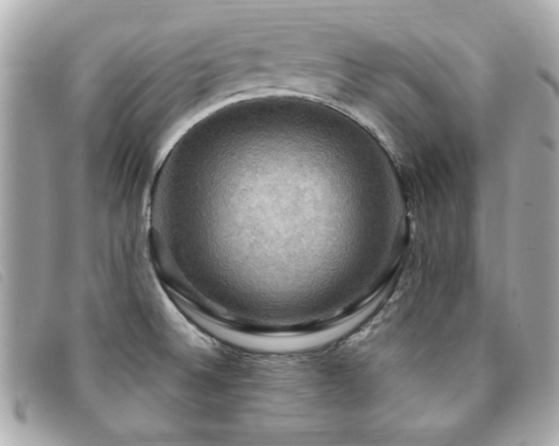 X0000094211524200710261201