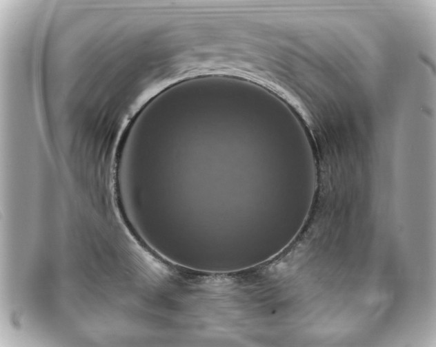 X0000094211525200710261201