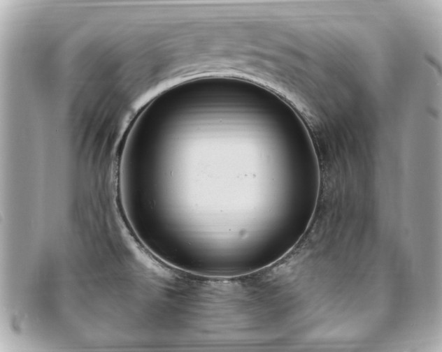 X0000094211526200710261201