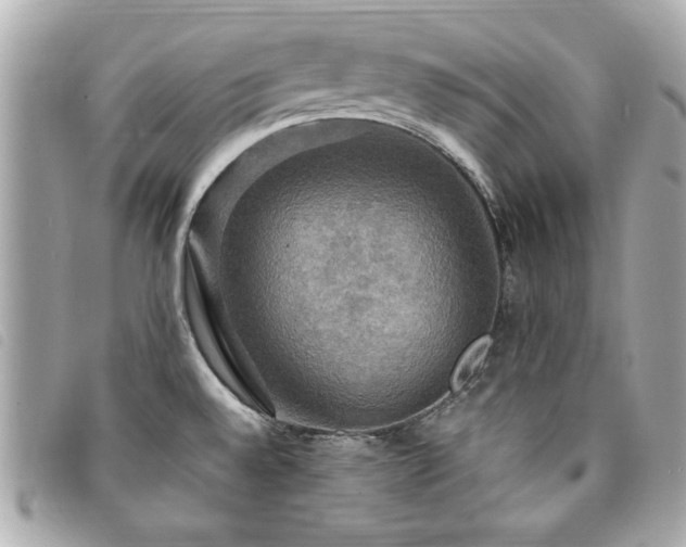 X0000094211528200710261201