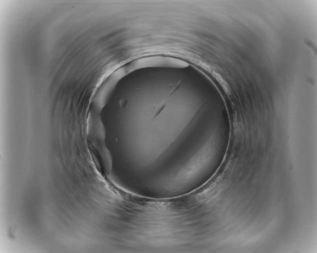 X0000094211529200710261201