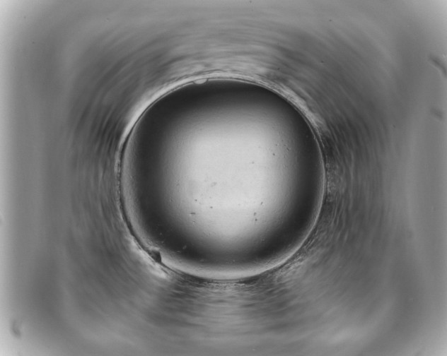 X0000094211532200710261201