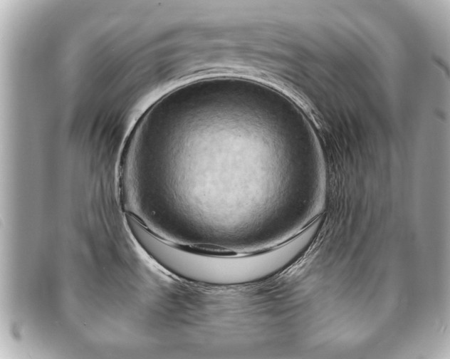 X0000094211535200710261201