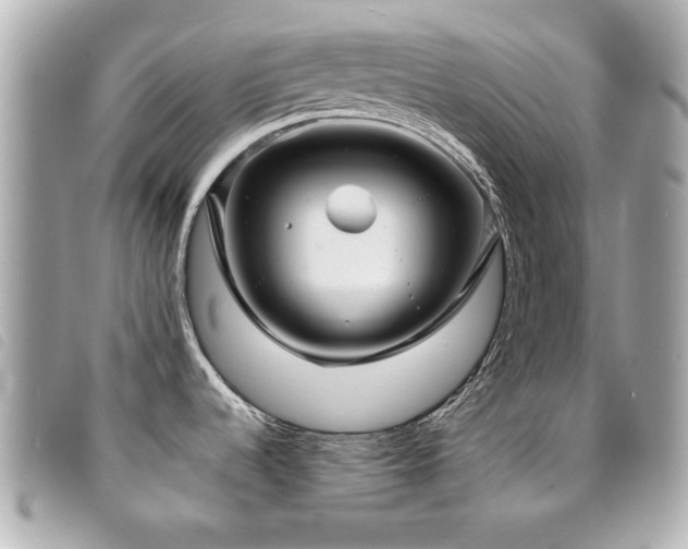 X0000094211536200710261201