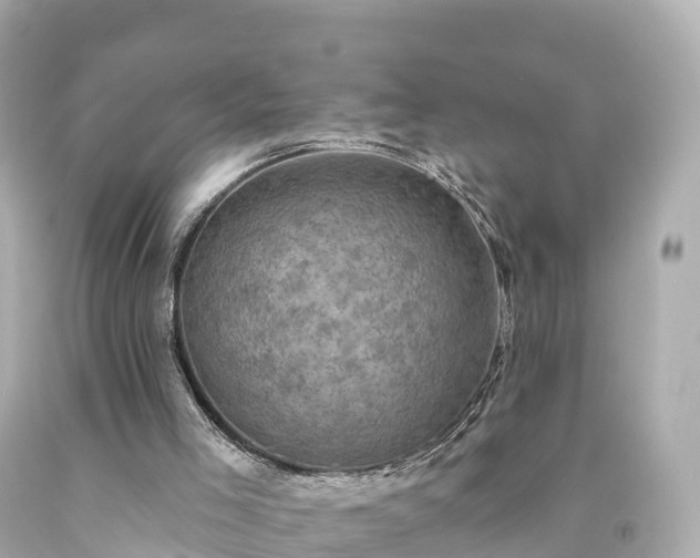 X0000094210005200711021126