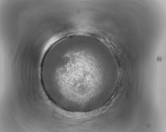 X0000094210006200711021126