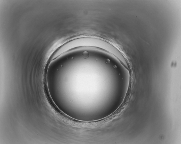 X0000094210007200711021126