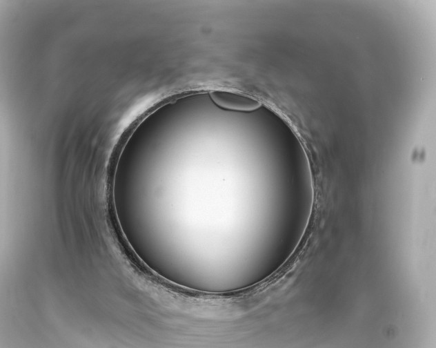 X0000094210008200711021126
