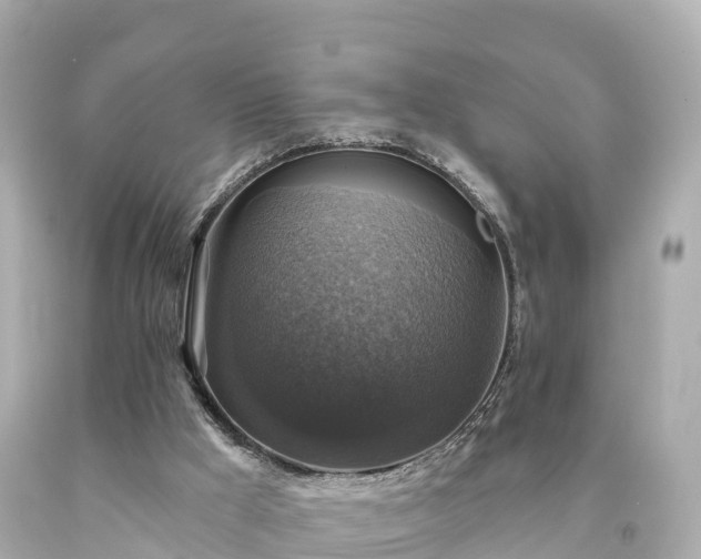 X0000094210009200711021126