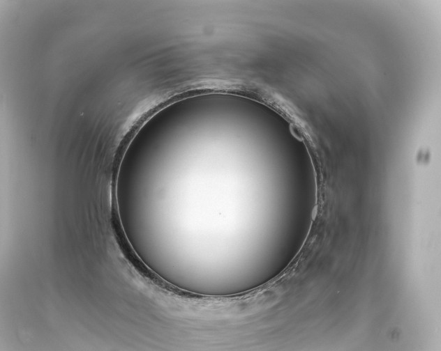 X0000094210011200711021126
