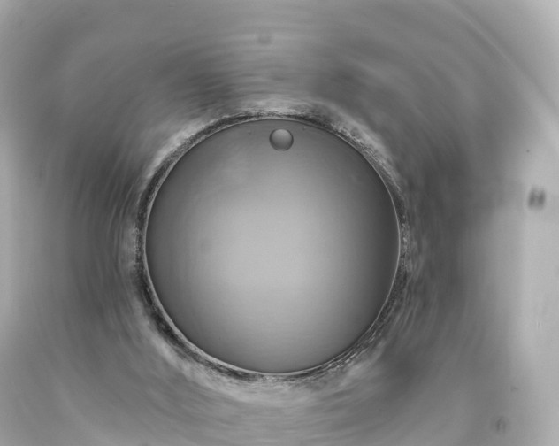 X0000094210012200711021126